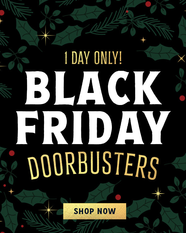 1 day only black friday doorbusters