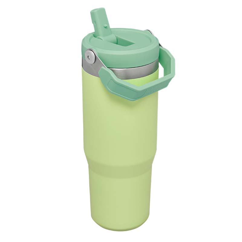 Citron Stanley 20 oz iceflow flip straw tumbler travel water bottle cup