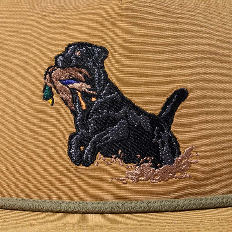 Lab Duck Snapback