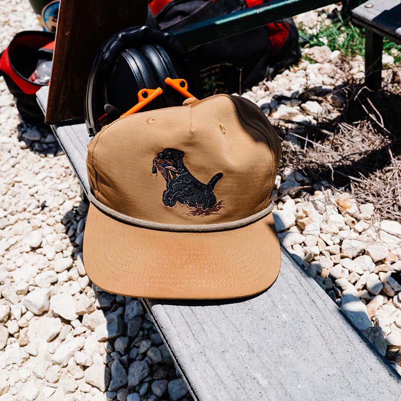 Lab Duck Snapback