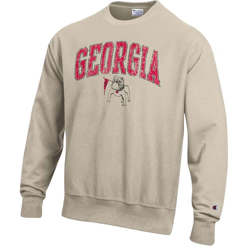 Champion uga sweatshirt best sale