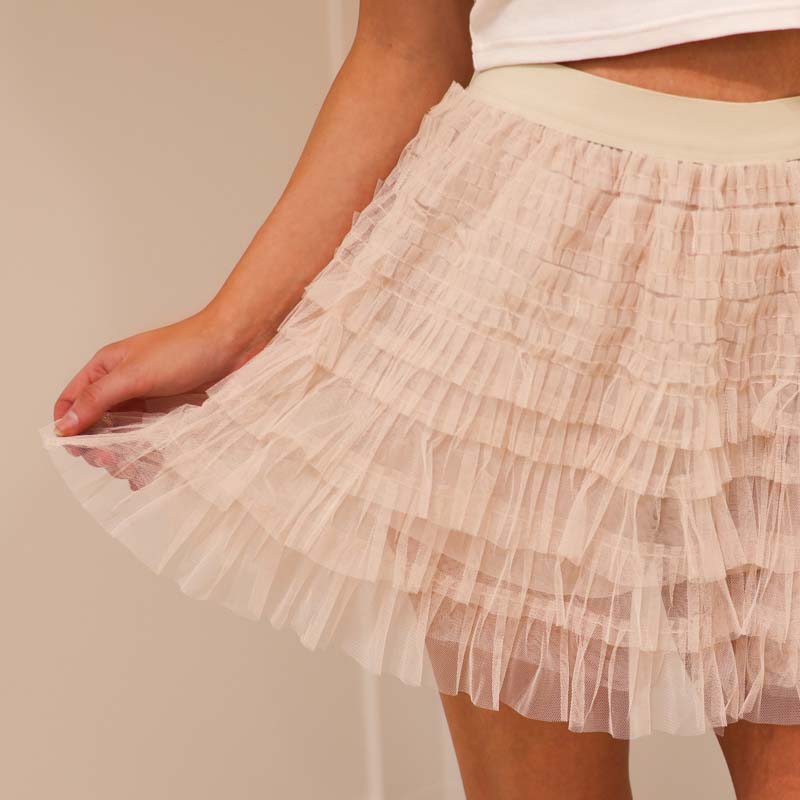 Sheer Lace Skirt in Champagne